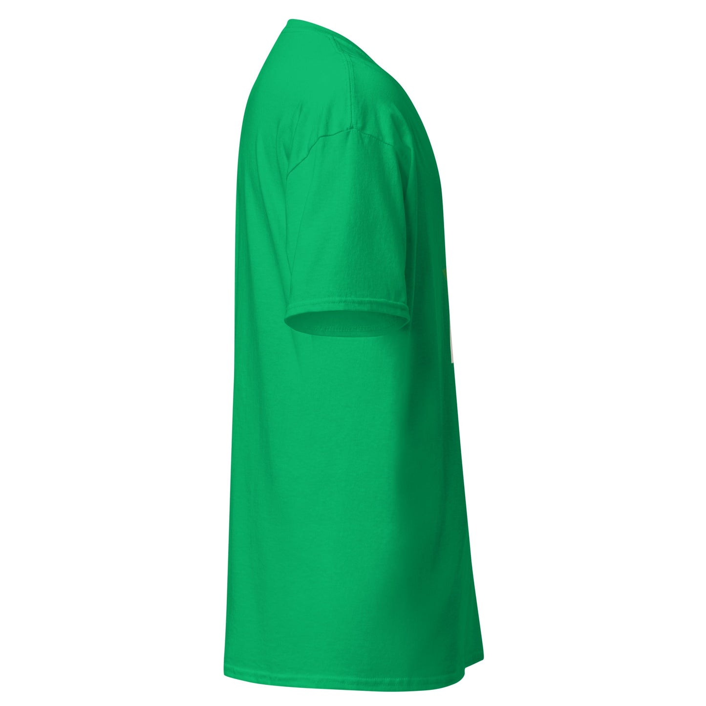 High in DC Tee | Washington DC Cannabis Festival Shirt - Elemental Wear