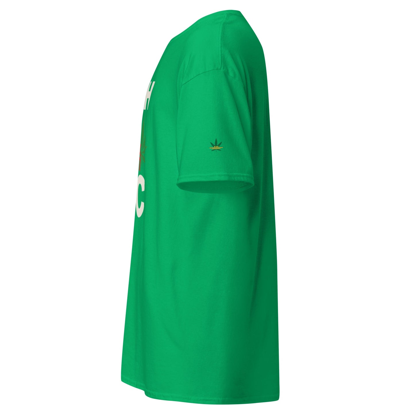 High in DC Tee | Washington DC Cannabis Festival Shirt - Elemental Wear