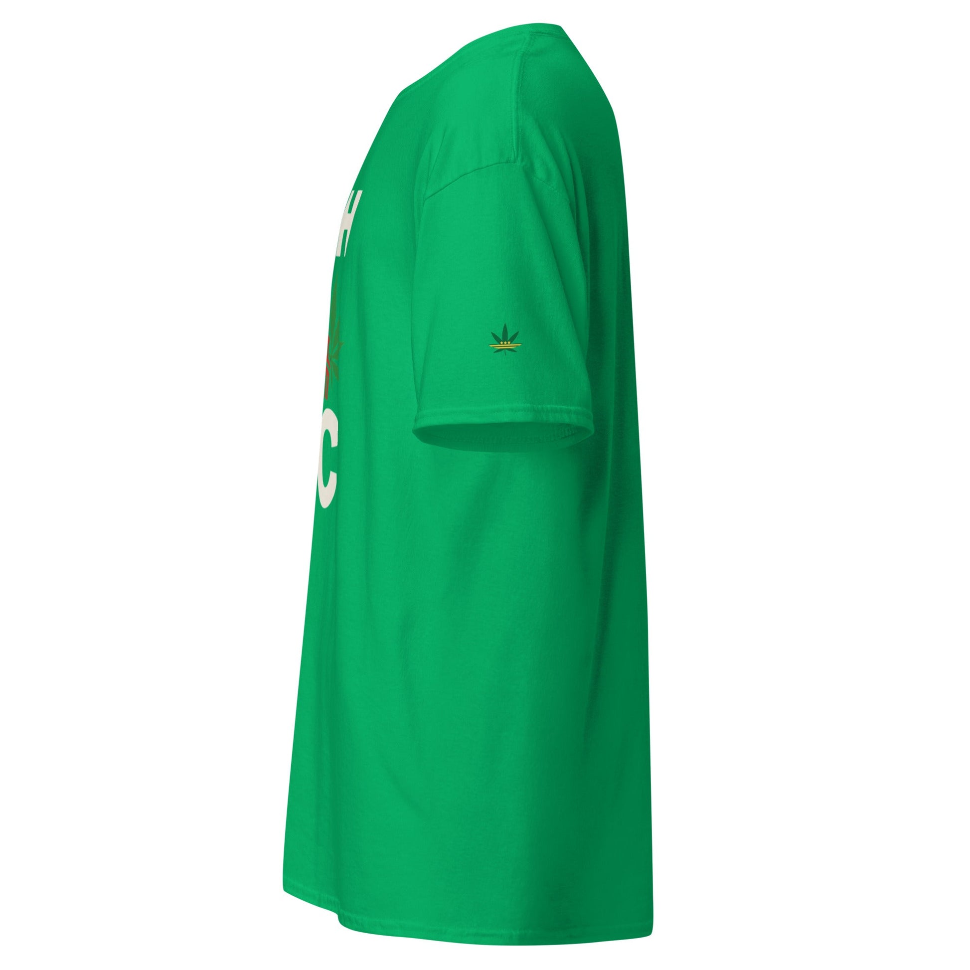 High in DC Tee | Washington DC Cannabis Festival Shirt - Elemental Wear