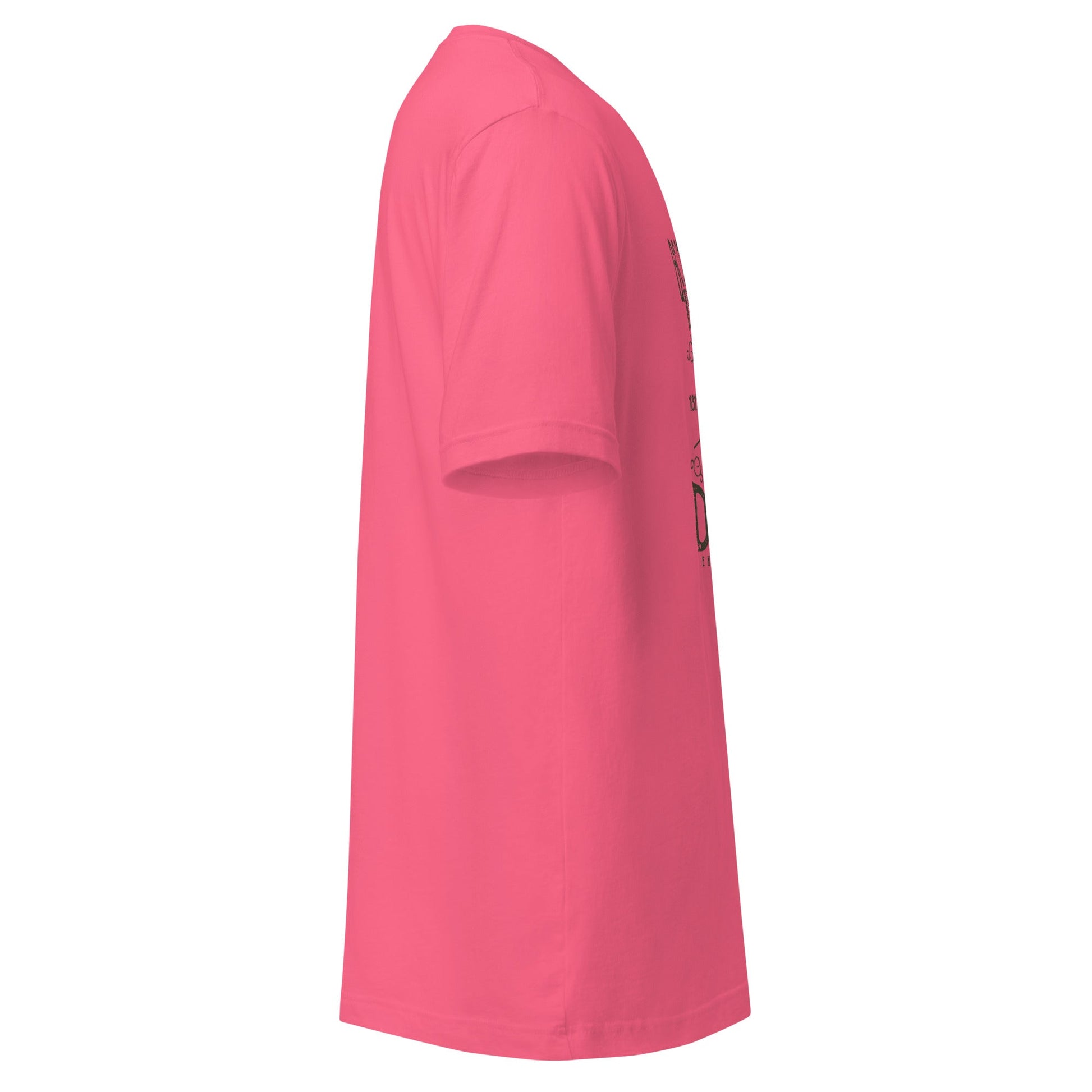 Pyramidion Sport T shirt - Elemental Wear